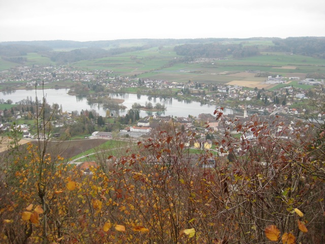 Blick von ganz oben auf Stein und den Rhein